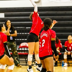 Volleyball